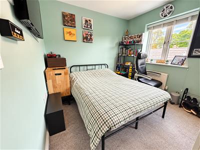 Picture 29